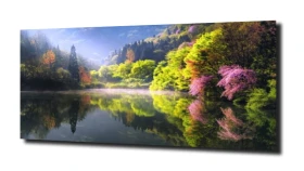 obraz na szkle, Panel szklany Ogród 2