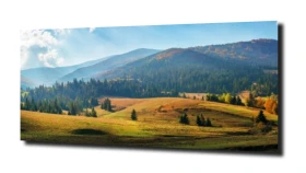 obraz na szkle, Panel szklany Las 11