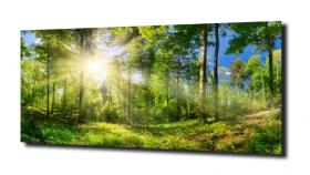 obraz na szkle, Panel szklany Las 3