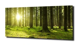 obraz na szkle, Panel szklany Las 4