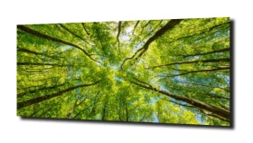 obraz na szkle, Panel szklany Las 52