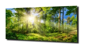 obraz na szkle, panel szklany Drzewa 10