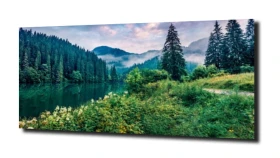 obraz na szkle, panel szklany Drzewa 60
