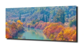 obraz na szkle, panel szklany Drzewa 65