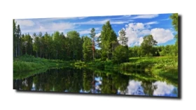 obraz na szkle, panel szklany Drzewa 45