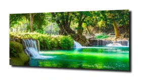 obraz na szkle, panel szklany Egzotyka 8