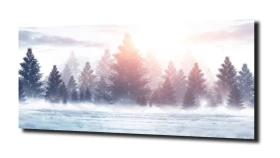 obraz na szkle, Panel szklany Zima 7