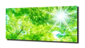 obraz na szkle, panel szklany Liście 64