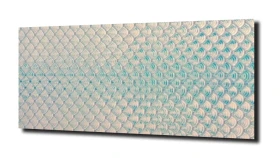 obraz na szkle, panel szklany Holo łuski