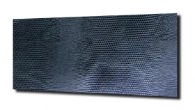 obraz na szkle, panel szklany Skóra węża