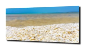 obraz na szkle Wakacje muszle niebo plaża