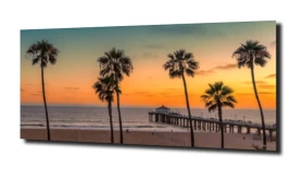 obraz na szkle Palmy na Manhattan Beach