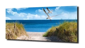 obraz na szkle Plaża morze mewy