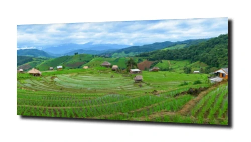 obraz_41172.jpg