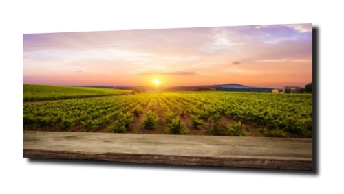 obraz_5802.jpg