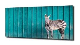 obraz na szkle Zebra drewno niebieski