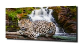 obraz na szkle Jaguar wodospad rzeka