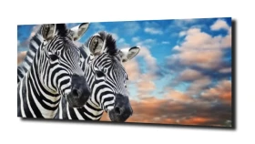 obraz na szkle Zebra chmura niebo