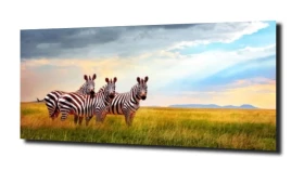obraz na szkle Zebra Afryka niebo