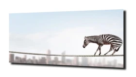 obraz na szkle Zebra nad miastem