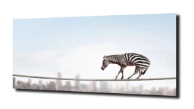 obraz na szkle Zebra nad miastem
