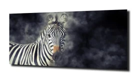 obraz na szkle Zebra dym zwierzę