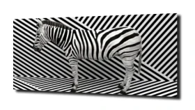obraz na szkle Zebra paski tło