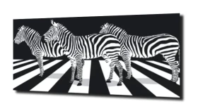 obraz na szkle Zebra na pasach