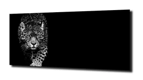 obraz na szkle Jaguar 17