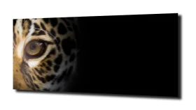 obraz na szkle Jaguar 19