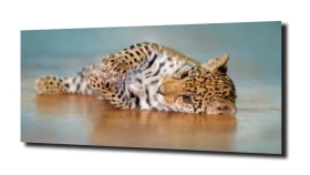 obraz na szkle Jaguar 22