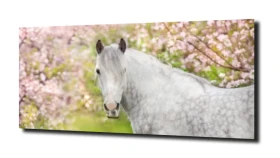 obraz na szkle, panel szklany Koń kwiaty