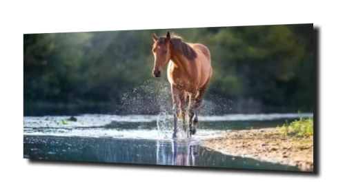obraz_40101.jpg