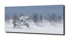 obraz na szkle Koń galop śnieg