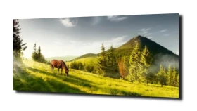 obraz na szkle Koń góry natura