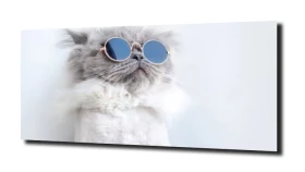 obraz na szkle, panel szklany Kotek okulary