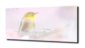 obraz na szkle Ptak drzewo natura