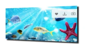 obraz na szkle Rafa koralowa ocean