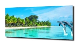 obraz na szkle Delfin plaża palmy