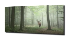 obraz na szkle, panel szklany Jeleń w lesie