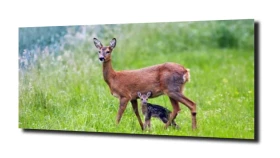 obraz na szkle Sarna i maleństwo natura