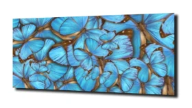 obraz na szkle, panel szklany Motyle print