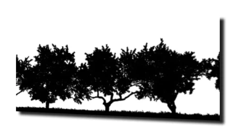obraz_29215.jpg
