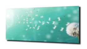 obraz na szkle, panel szklany Dmuchawce  61