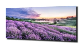 obraz na szkle, panel szklany Lawenda 33