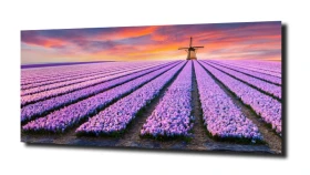 obraz na szkle, panel szklany Tulipany 30