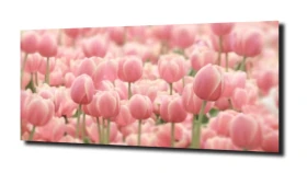obraz na szkle, panel szklany Tulipany 49