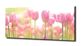 obraz na szkle, panel szklany Tulipany 6