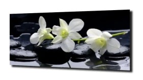 obraz na szkle, panel szklany Orchidea 10