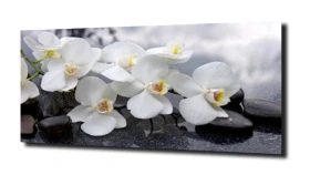 obraz na szkle, panel szklany Orchidea 11